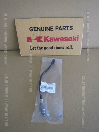 Kawasaki vulcan 2025 sensore - s,