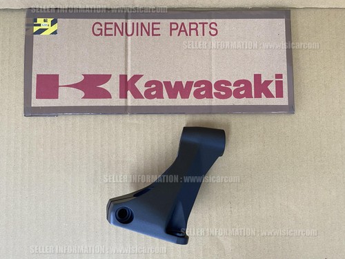 Kawasaki ninja 1100sx - ninja,