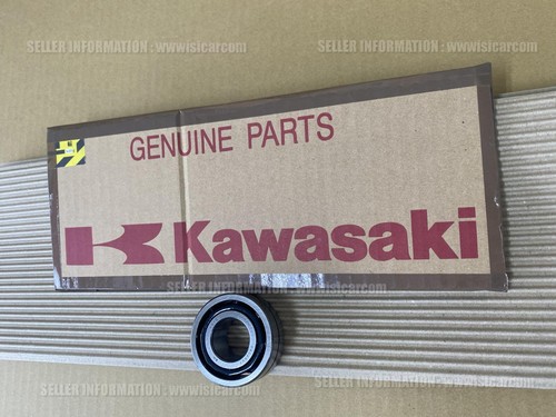 Kawasaki ninja 2007 - kawasaki,
